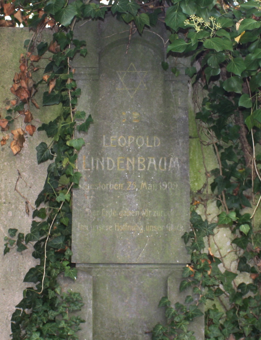 lindenbauml-1